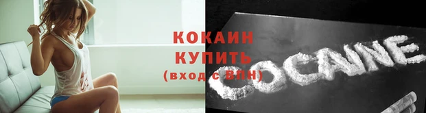 герыч Иннополис