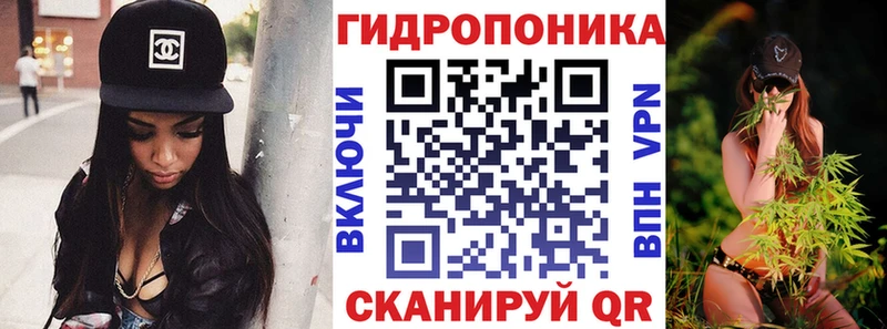 Бошки Шишки сатива  Купить закладки  Дмитров 